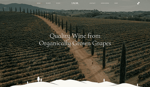 Die 10 besten WordPress Winery Themes für Weinberge und Weinbars