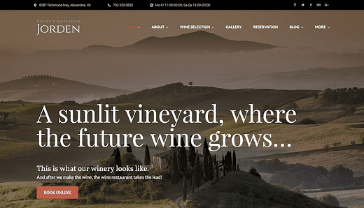 Die 10 besten WordPress Winery Themes für Weinberge und Weinbars
