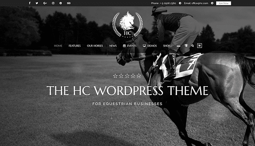 De 5 bästa WordPress-teman för ridsport för 2020