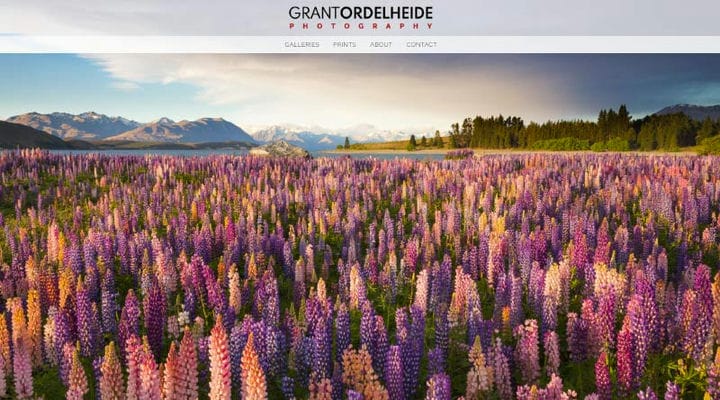 30+ bästa fotoportföljexempel och tips för nybörjare
