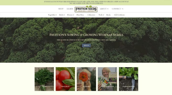 Über 20 Floristen-Websites, die jeden Blumenliebhaber inspirieren werden