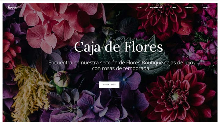 Yli 20 kukkakauppasivustoa, jotka inspiroivat jokaista kukkien ystävää